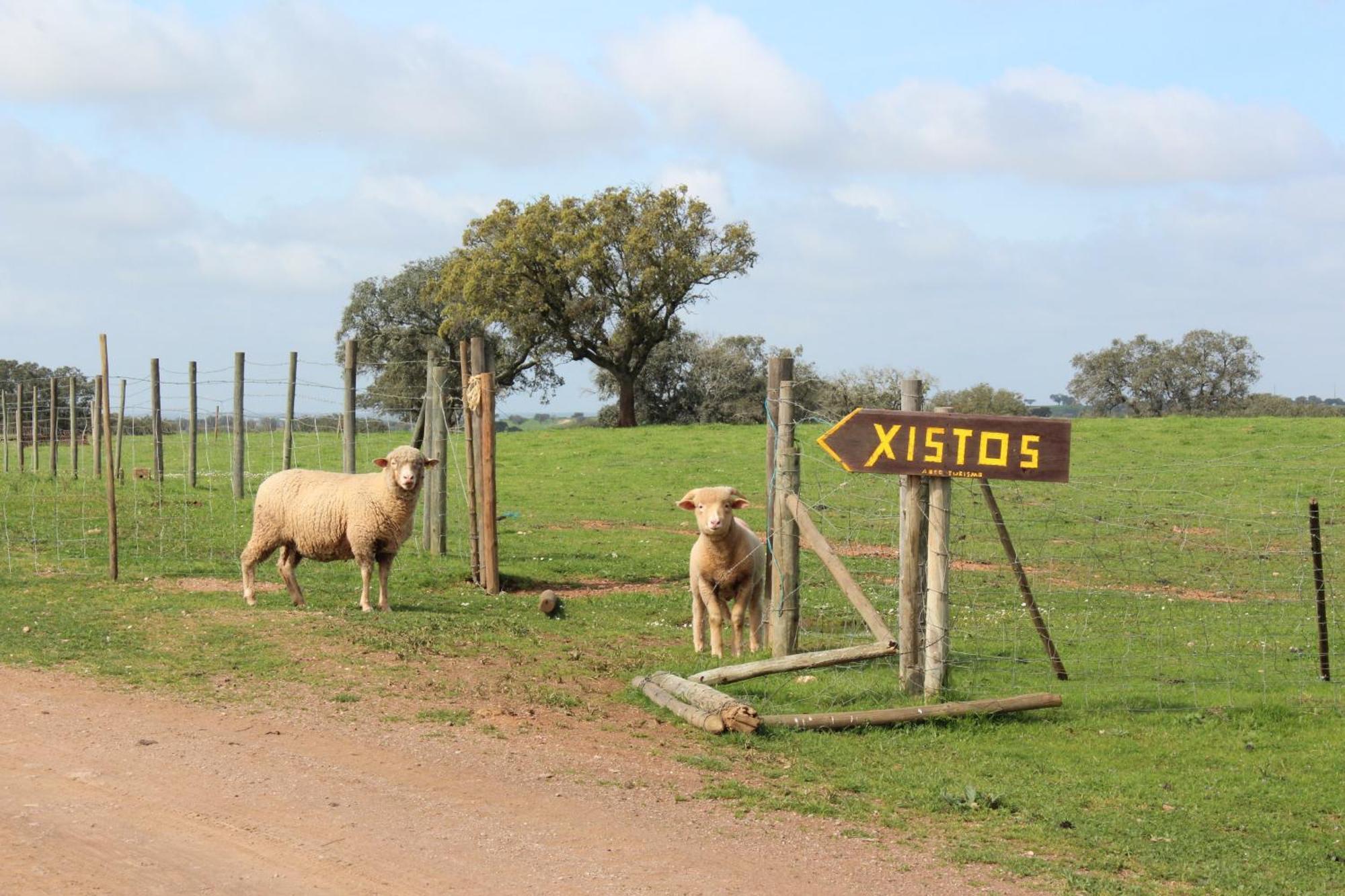 Agroturismo Xistos Cerca Zewnętrze zdjęcie
